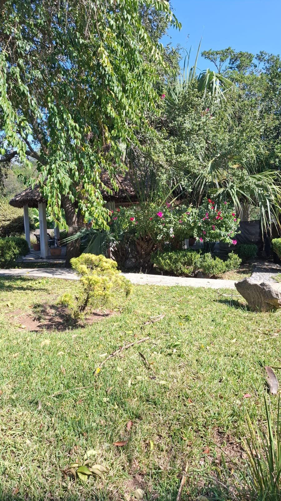 Casa principal con jardín