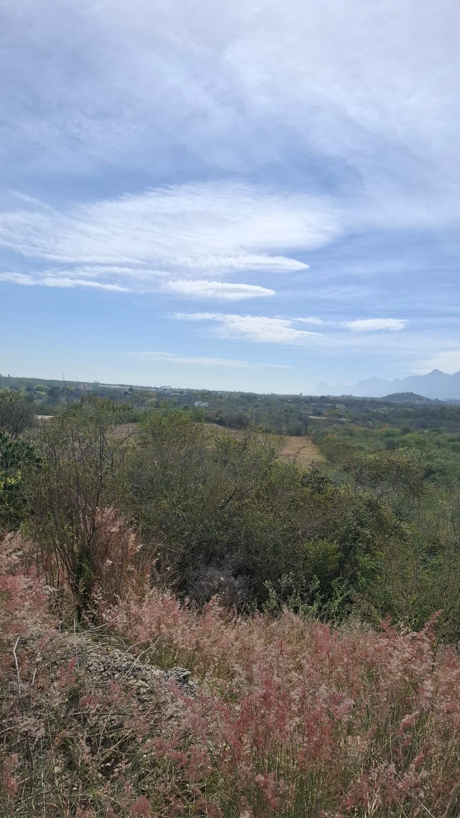 Terreno plano con vista al valle